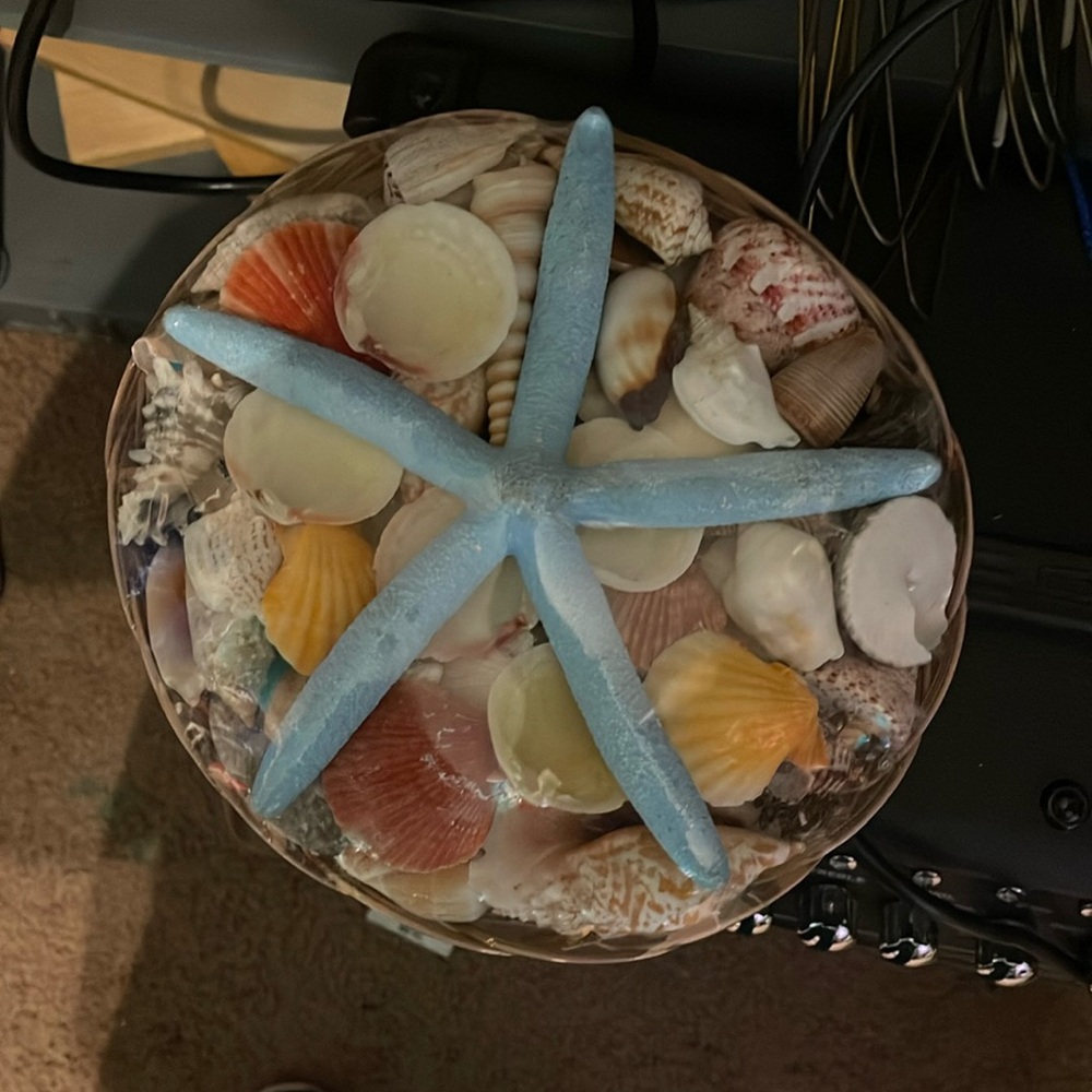 Basket full of Perfect Shells